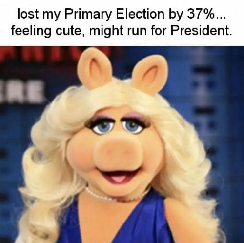liz cheney08