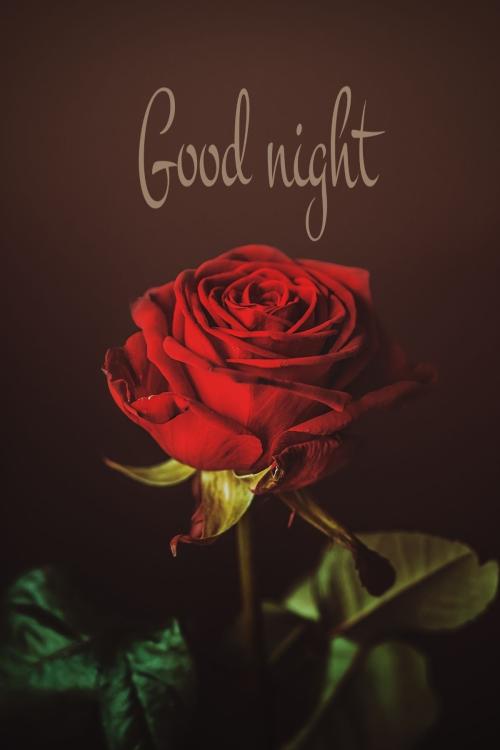 90545_684201255dacec88a9946269d6108b30