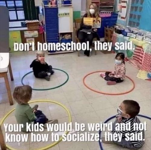 homeschool_dissed