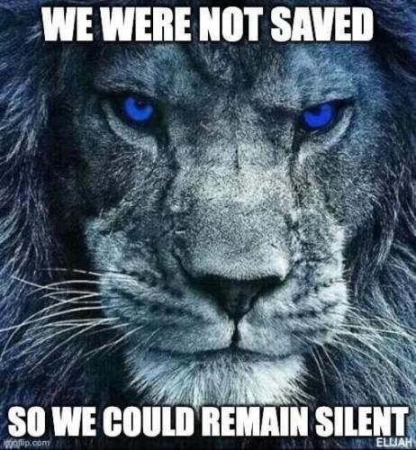 FB_IMG_1660560154009