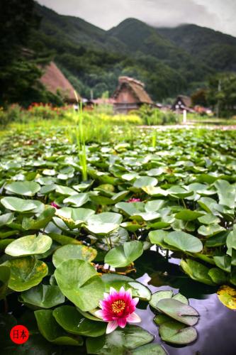 300150221_7894011260670524_6393242520785323716_n