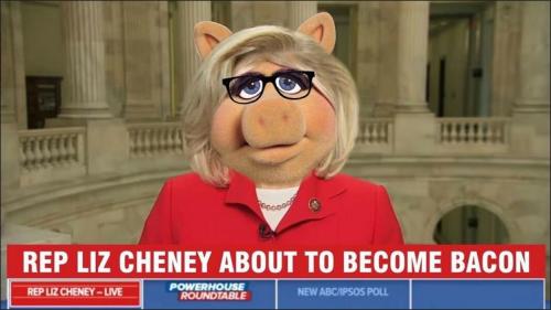 liz cheney02