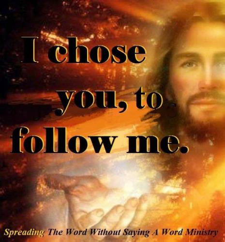 12274746_956236121125186_9106801279802802100_n