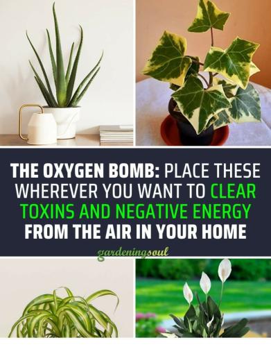 Screenshot_2022-07-31-09-57-53-929_com.facebook.katana~2