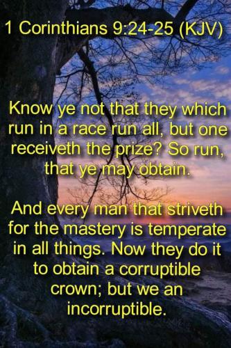 FB_IMG_1657460187635