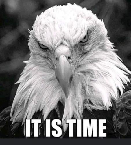 FB_IMG_1658592886362