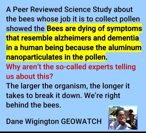 Screenshot_2022-08-09-10-37-03-661_com.google.android.apps.photos~2