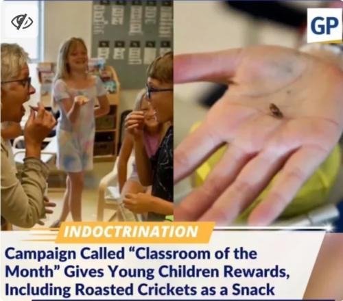 Screenshot_20220822-151949_Chrome