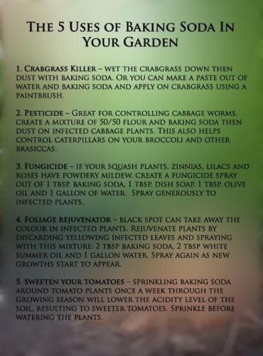 300443435_5285187681576432_166961090867487172_n