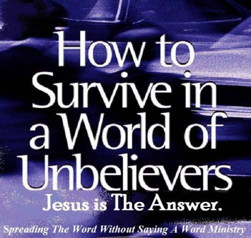 12241790_952675408147924_2637484476614738274_n