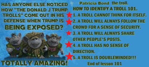 da7faad4a77b55099432061037b14899_1024 (5) - Copy - Copy - Copy