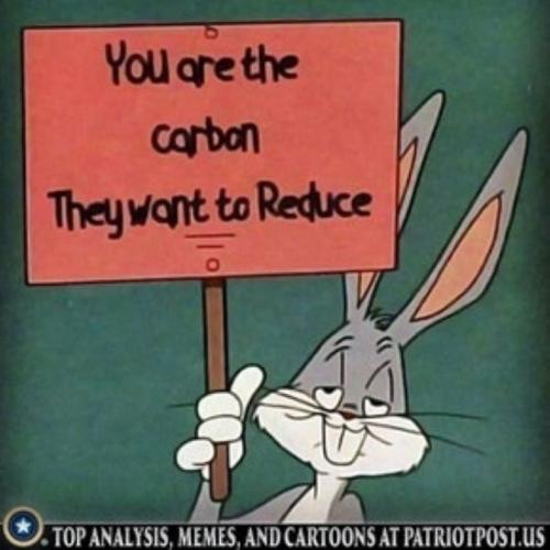 Carbon Reduction (1)