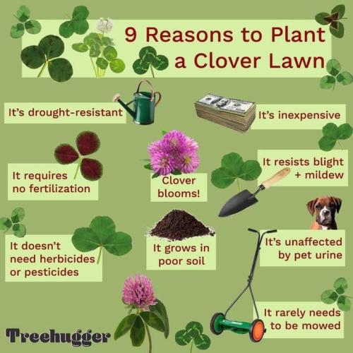 300936777_1127313884550735_3642294840909213706_n