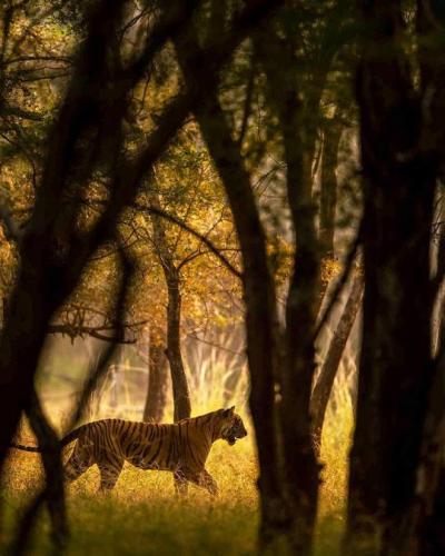 tumblr_81a309b43ff4e0e325af20a91b6282ac_d9ac5796_540