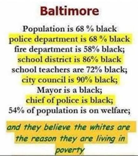 tumblr_35bd45e9d14fc075242489850ec9b679_ef1e6100_640