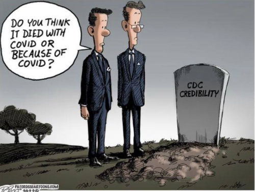 d1725ba6-7c6d-4e01-8d6a-871881938c3b_782x590