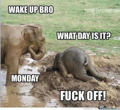 37B47349-6799-4BFF-877D-002EBFACD081