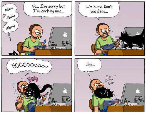 217849_10100259157350592_756292616_n