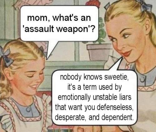 whats an assault weapon