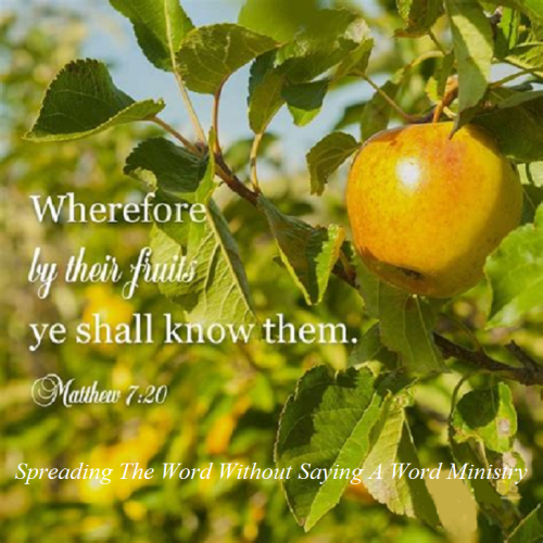 297141668_385224687088257_1582022407511964552_n