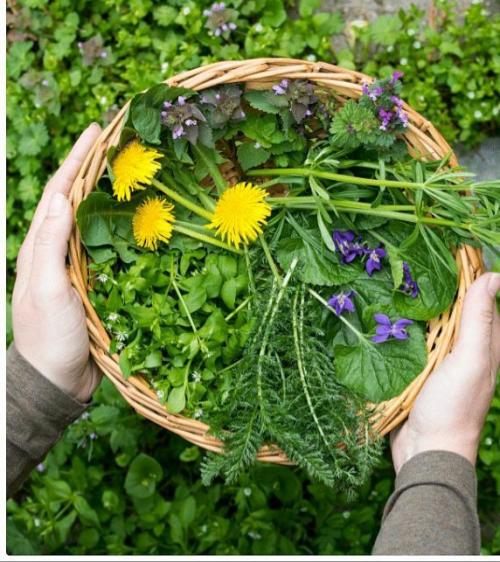 11:52:21 GMT-0500 (CDT)