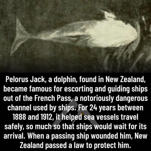 297429306_628481015371551_2085999306610437952_n