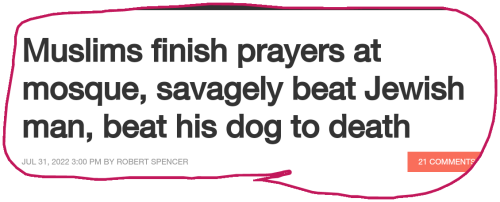 snapshot_www.jihadwatch.org_1659483610359