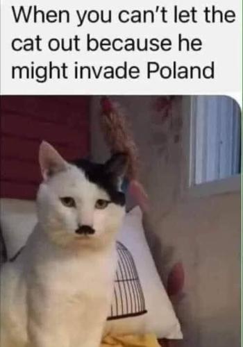 hitler_cat_invade_poland