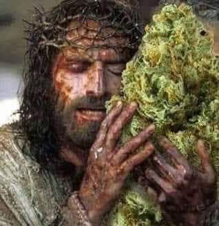 FB_IMG_1652434770537