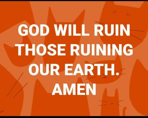 Screenshot_2022-08-04-20-09-19-726_com.google.android.apps.photos~2