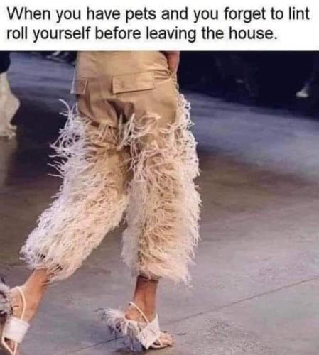 FB_IMG_1660063524382