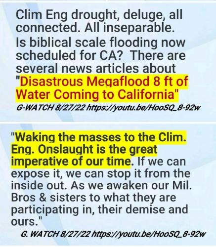 Screenshot_2022-08-30-14-52-46-033_com.google.android.apps.photos