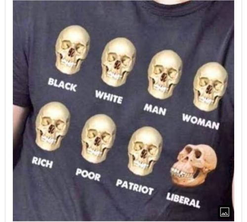 5c5909c8effbd94fc11e79935abfaba0_1024