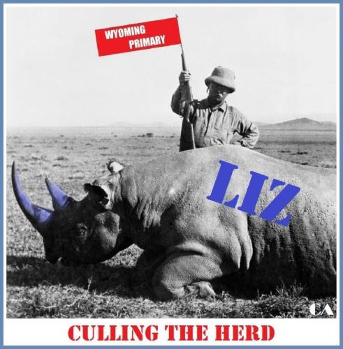 tumblr_2390d3a93f17f12ca56a623b44c81af7_36e09a52_1280