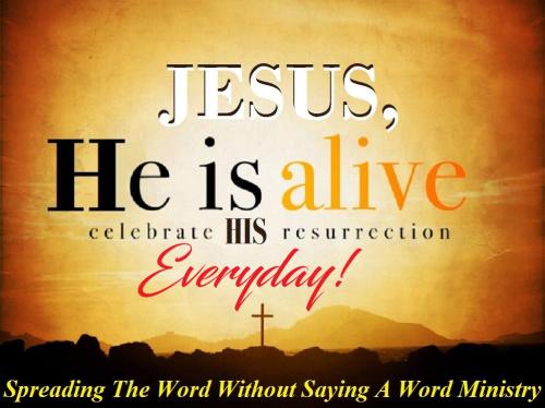 12232919_954241721324626_730084447377261201_o