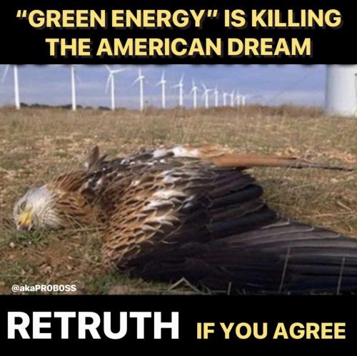 Green Energy is Communism 2