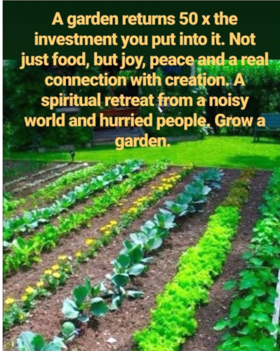 Screenshot_2022-07-25-22-22-32_kindlephoto-13050223