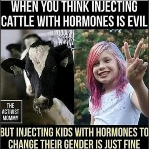 1659321576281