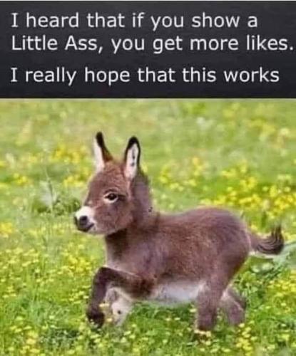 FB_IMG_1659540696740