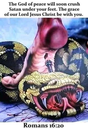 FB_IMG_1626901665720