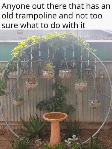 FB_IMG_1661024874801