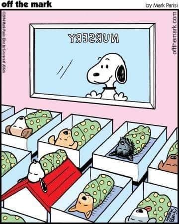 298371851_145175471530713_3164953719788858249_n