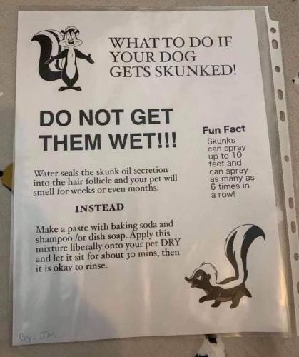 298788560_5269314796497054_282199204355527129_n