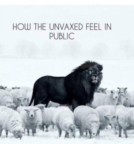 IMG_20220325_100529_452