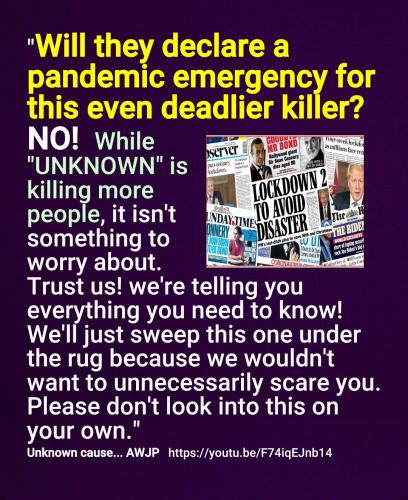 Screenshot_2022-08-22-15-51-55-155_cn.wps.moffice_eng~2