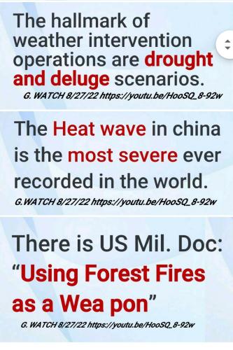 Screenshot_2022-08-30-13-58-40-649_com.google.android.apps.photos