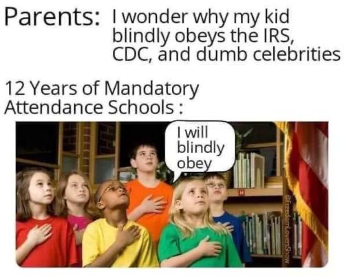 Blindly Obey 1