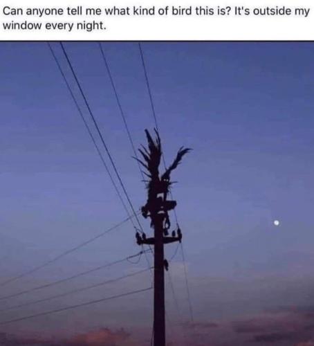 FB_IMG_1659653307879
