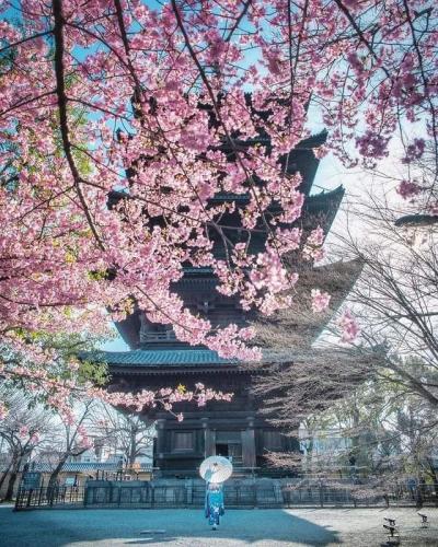 298805002_582710930150049_8165024365092444977_n