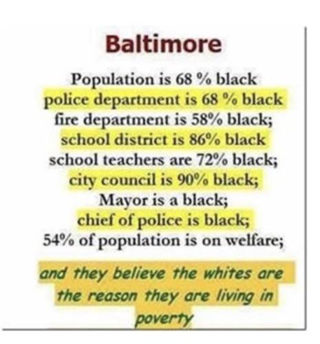 tumblr_013462015f49e9fae56f1a54d5963487_879e32a1_640